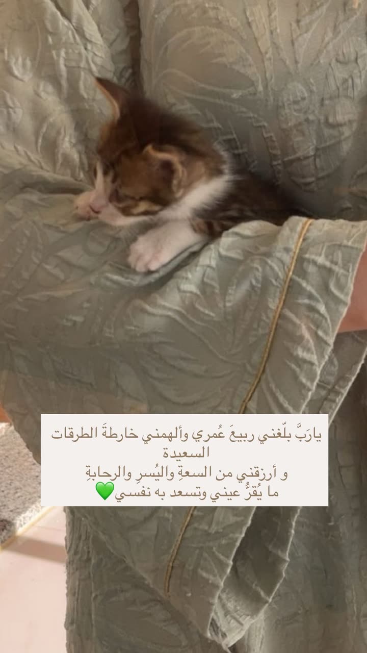 محتوى سناب شات لـ EMAN AL5HALIDI 𓅂 🇰🇼| 🇯🇴