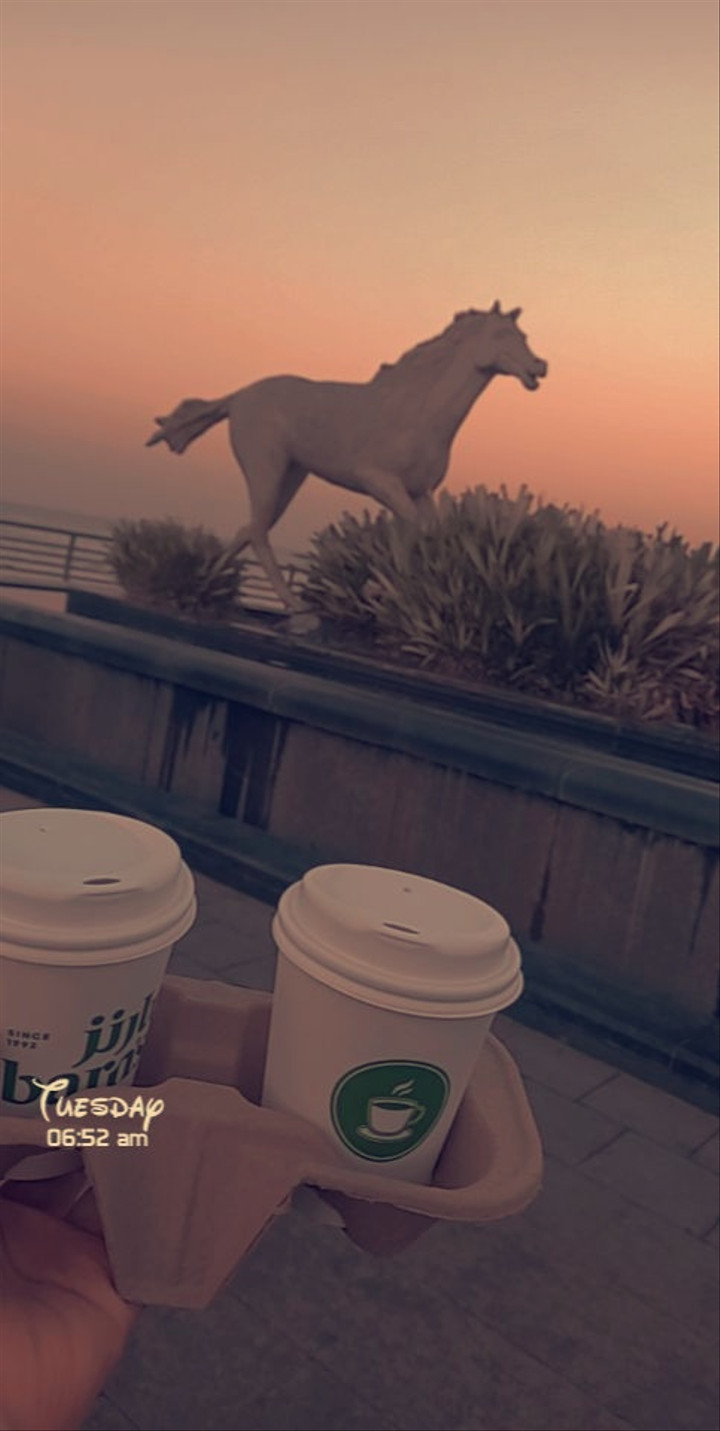 محتوى سناب شات لـ 🕊