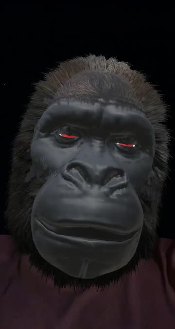 Preview for a Spotlight video that uses the Gorilla Dance Lens