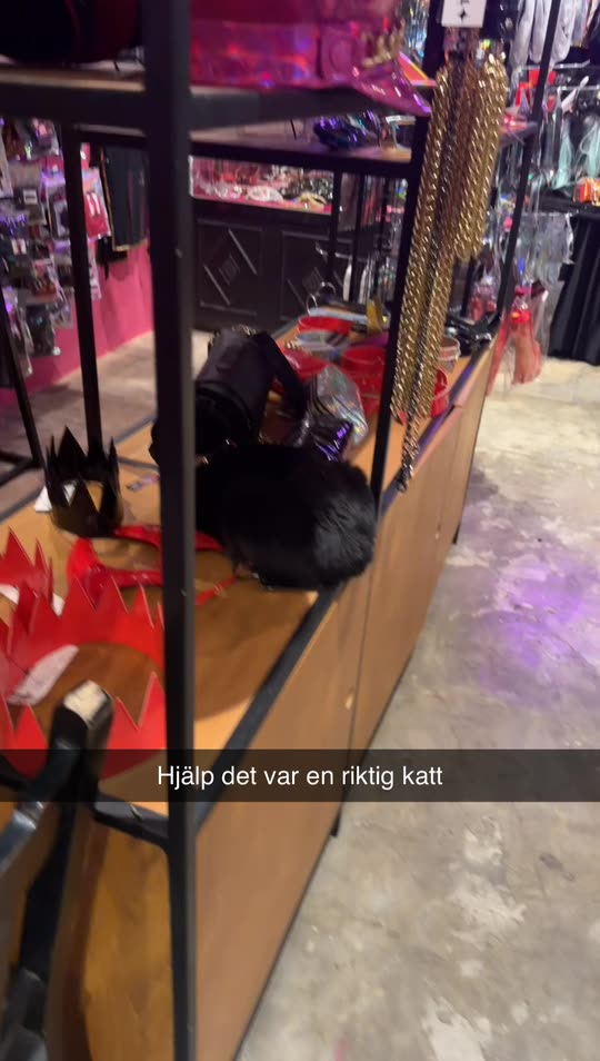 almaspersson