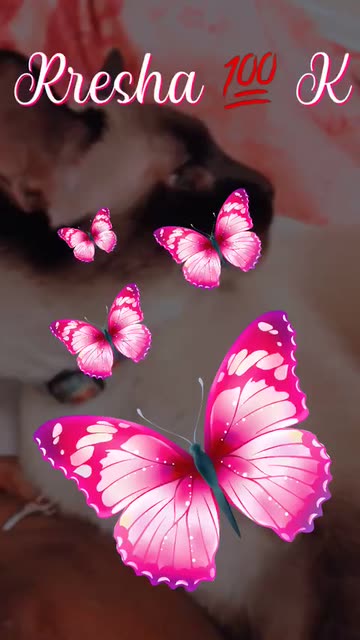Preview for a Spotlight video that uses the Your Name Pink Lens