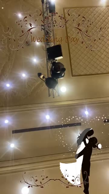 Preview for a Spotlight video that uses the WEDDING DAY Lens