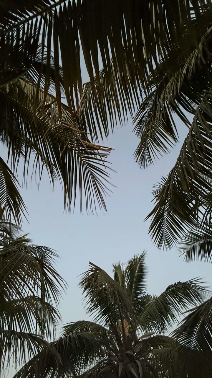 محتوى سناب شات لـ Rn:شروق الحربي 👩🏻‍⚕️.