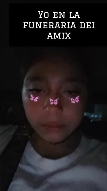 Preview for a Spotlight video that uses the Pink Butterflies Lens
