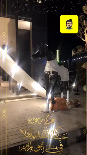 Preview for a Spotlight video that uses the a-s2015 Feast Lens