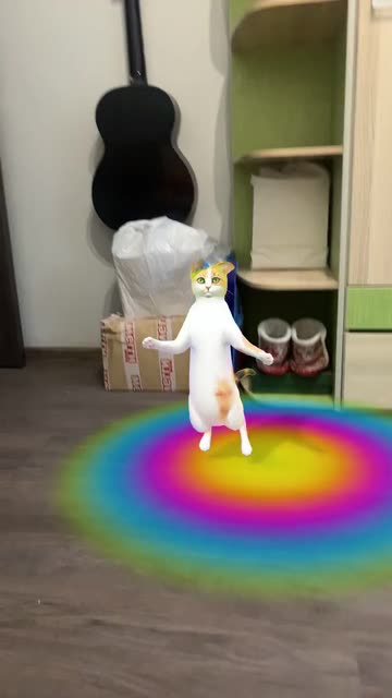 Preview for a Spotlight video that uses the Street Cat Dance Lens