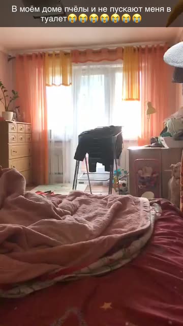 Preview for a Spotlight video that uses the WASP FIGHT! Lens