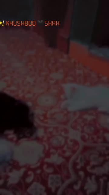 Preview for a Spotlight video that uses the Blurry Mood 1 Lens