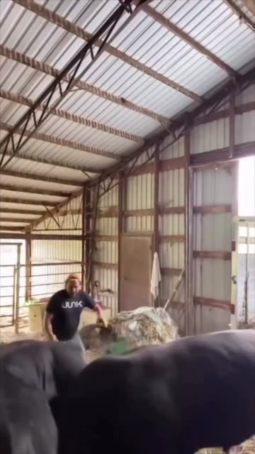 benji