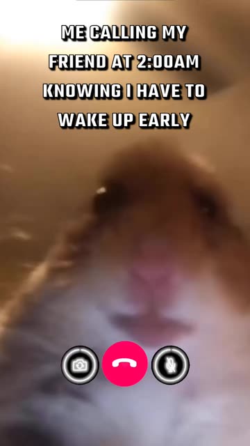 Preview for a Spotlight video that uses the Staring Hamster Lens