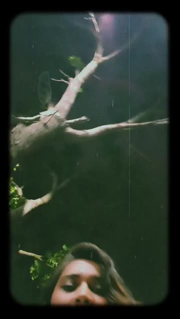Preview for a Spotlight video that uses the Disposable Film Lens