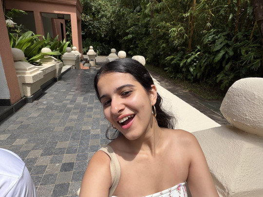 taneeshamirwani