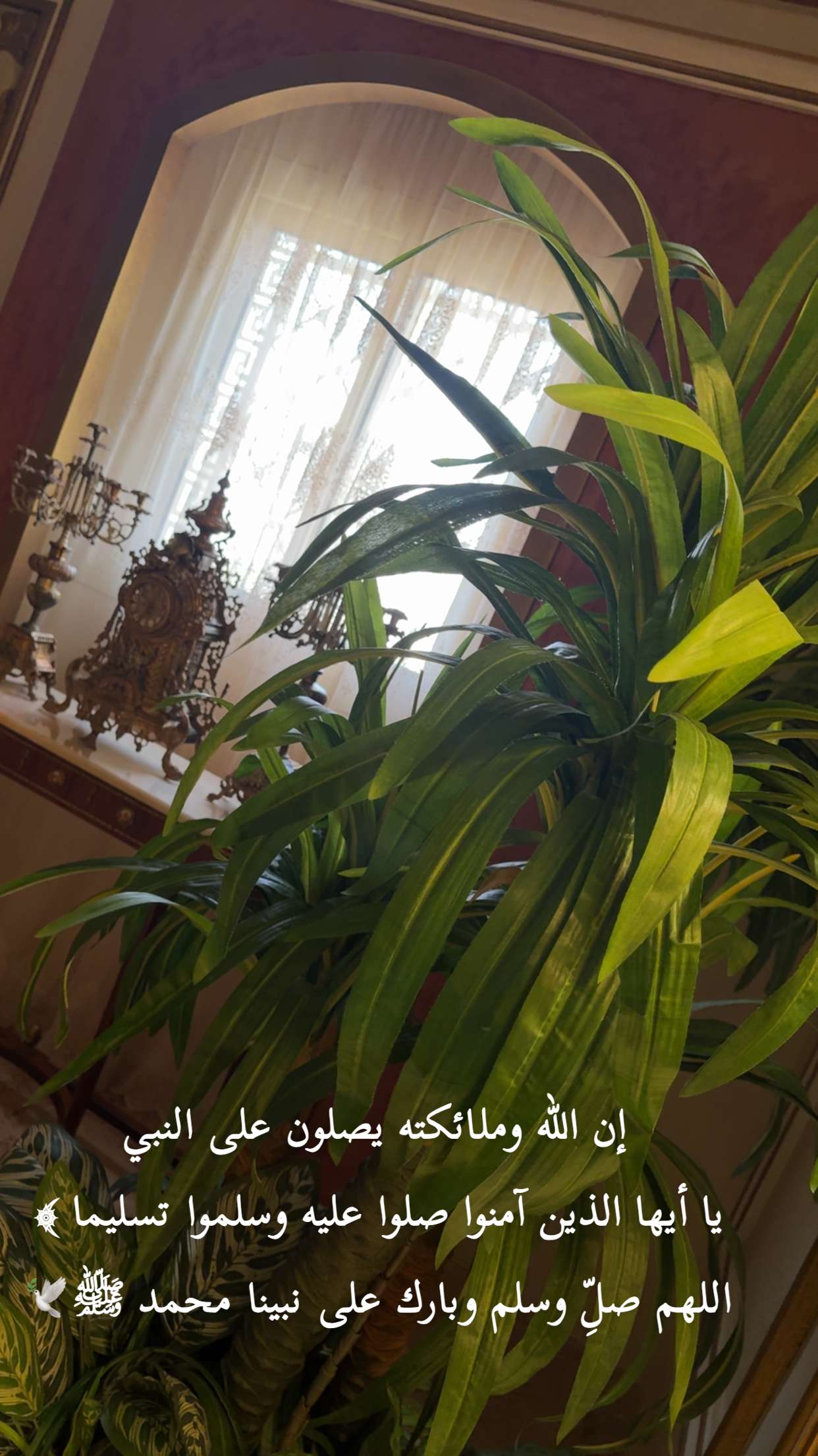 محتوى سناب شات لـ نونه العتيبي