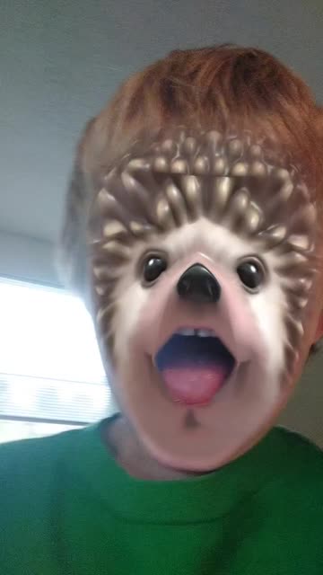 Preview for a Spotlight video that uses the Hedgehog Lens