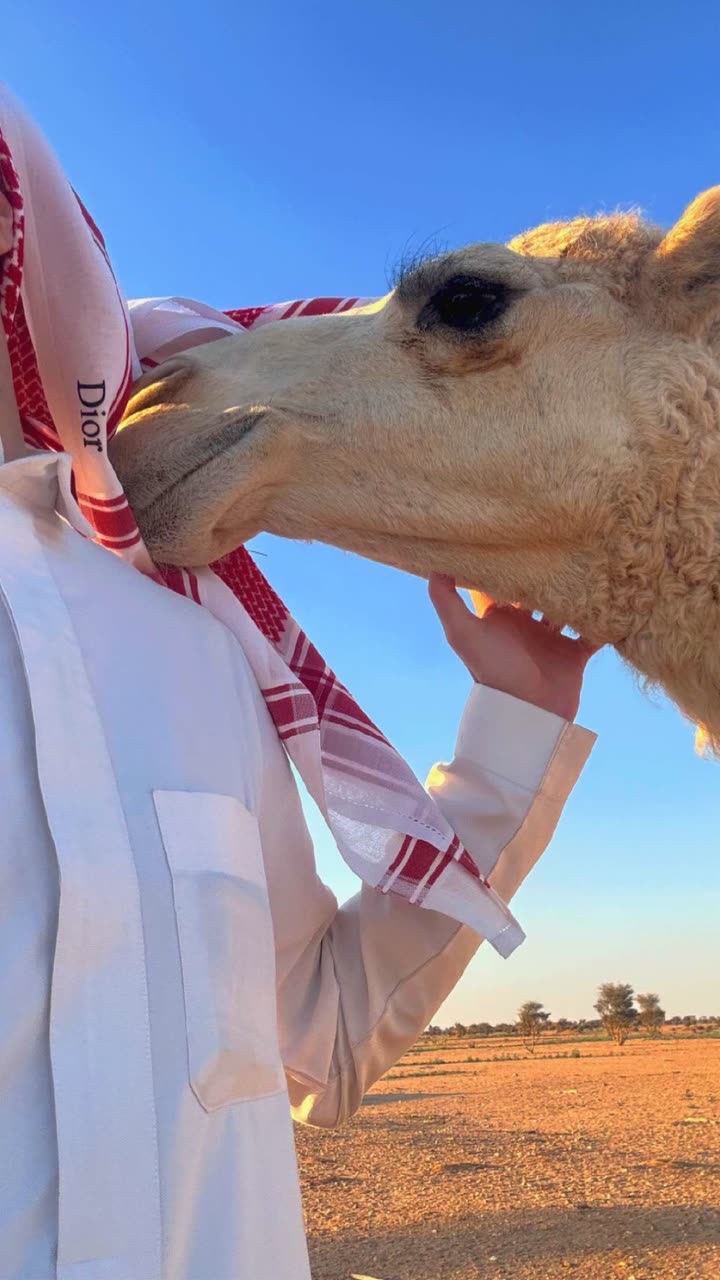 محتوى سناب شات لـ 6 March