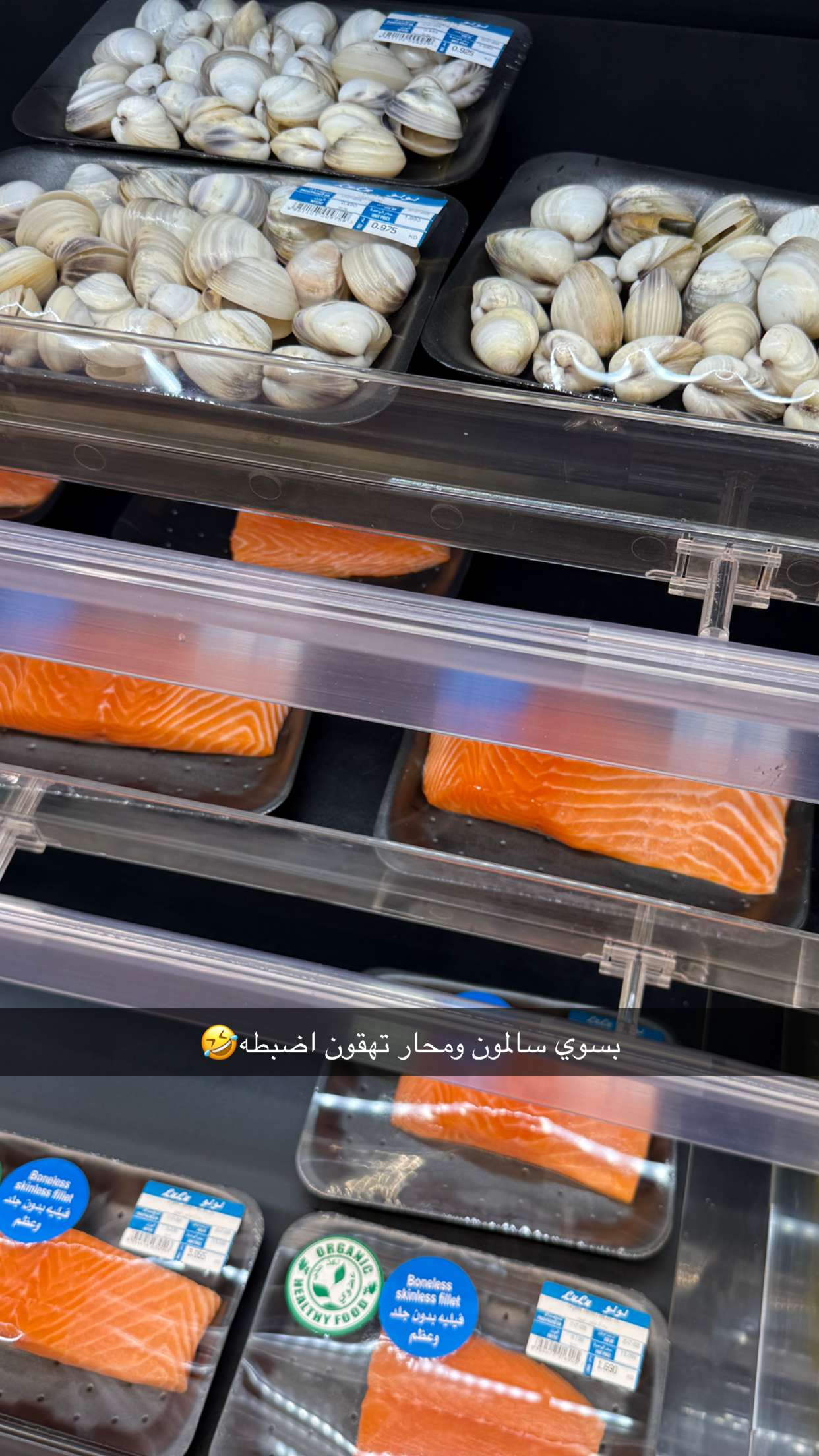 محتوى سناب شات لـ خلود اللميع 🪭 Aloooloo 🦚