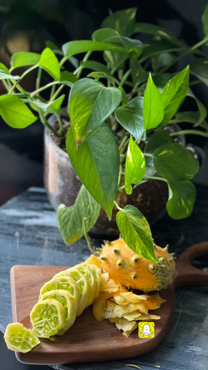محتوى سناب شات لـ مها الصيخان 🍃☕️🎨