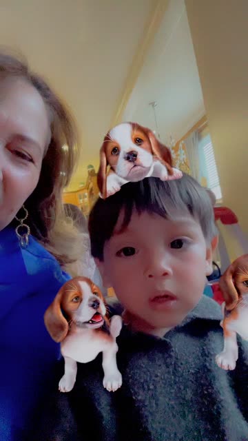 Preview for a Spotlight video that uses the Cute Beagle Puppies Lens