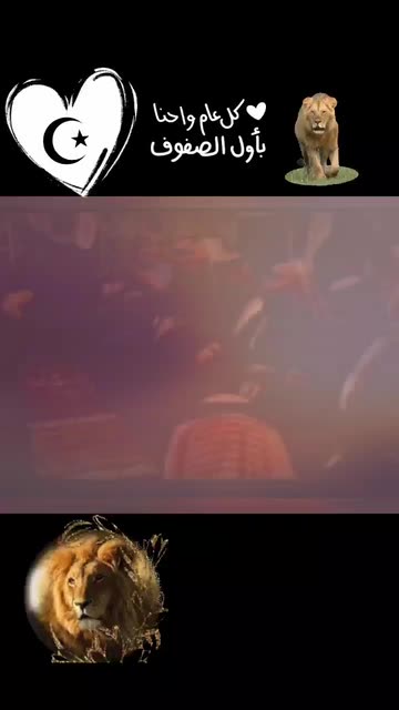 Preview for a Spotlight video that uses the Water Circles Lens