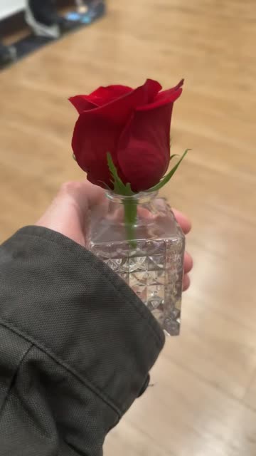 Red Rose Toy Review Videos