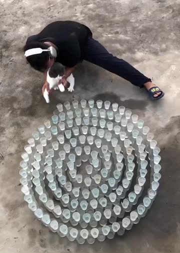 Spotlight content by a Snapchat user