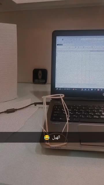 Preview for a Spotlight video that uses the Sunflower Lens