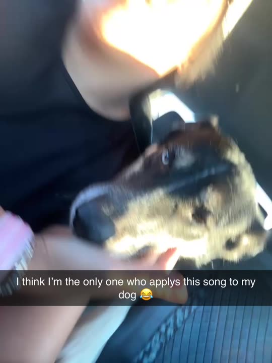 k_aila03