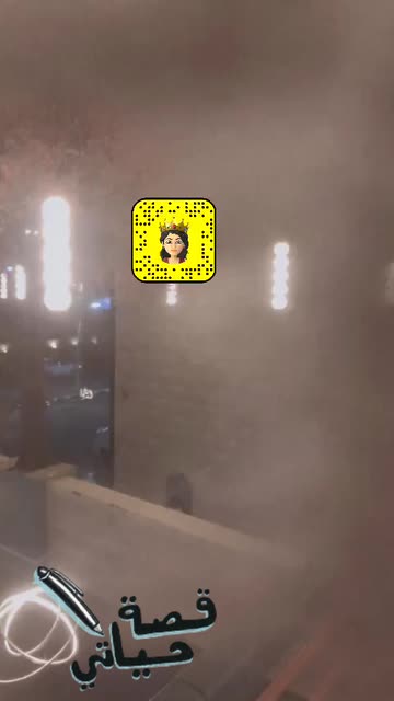 Preview for a Spotlight video that uses the catface Lens