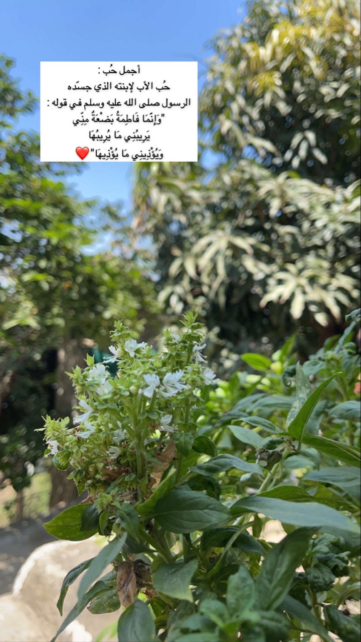 محتوى سناب شات لـ أمـل