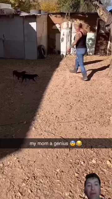 Spotlight content by a Snapchat user
