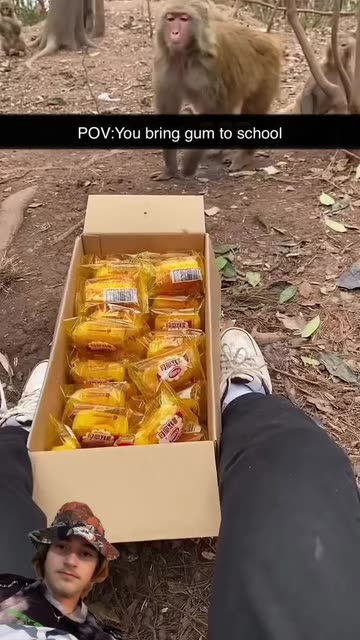 Spotlight content by a Snapchat user