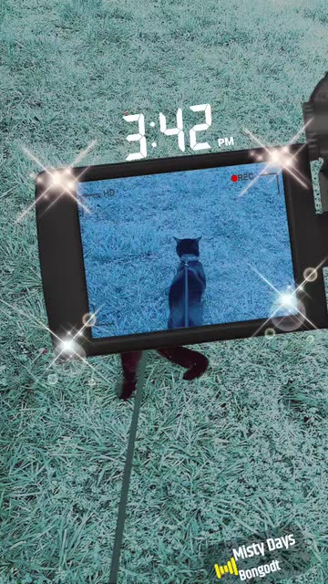 Preview for a Spotlight video that uses the twilight Lens