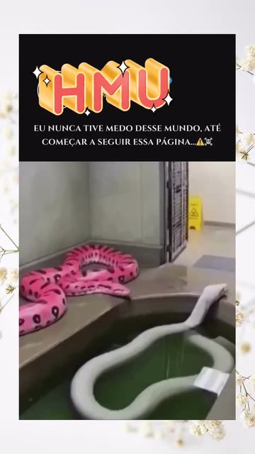 Cematez