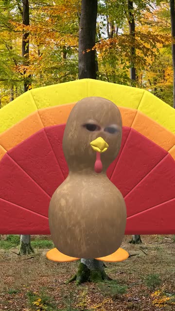 Preview for a Spotlight video that uses the Terrific Turkey Lens