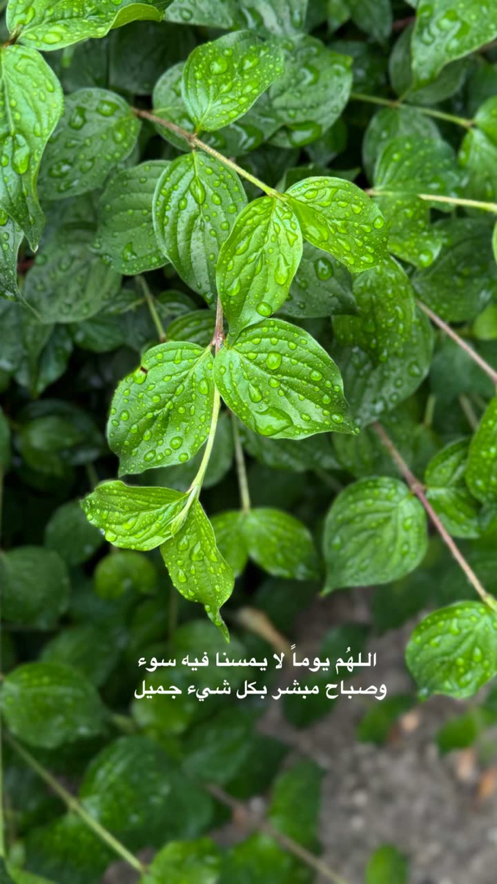محتوى سناب شات لـ عفرا السويدي 🦋