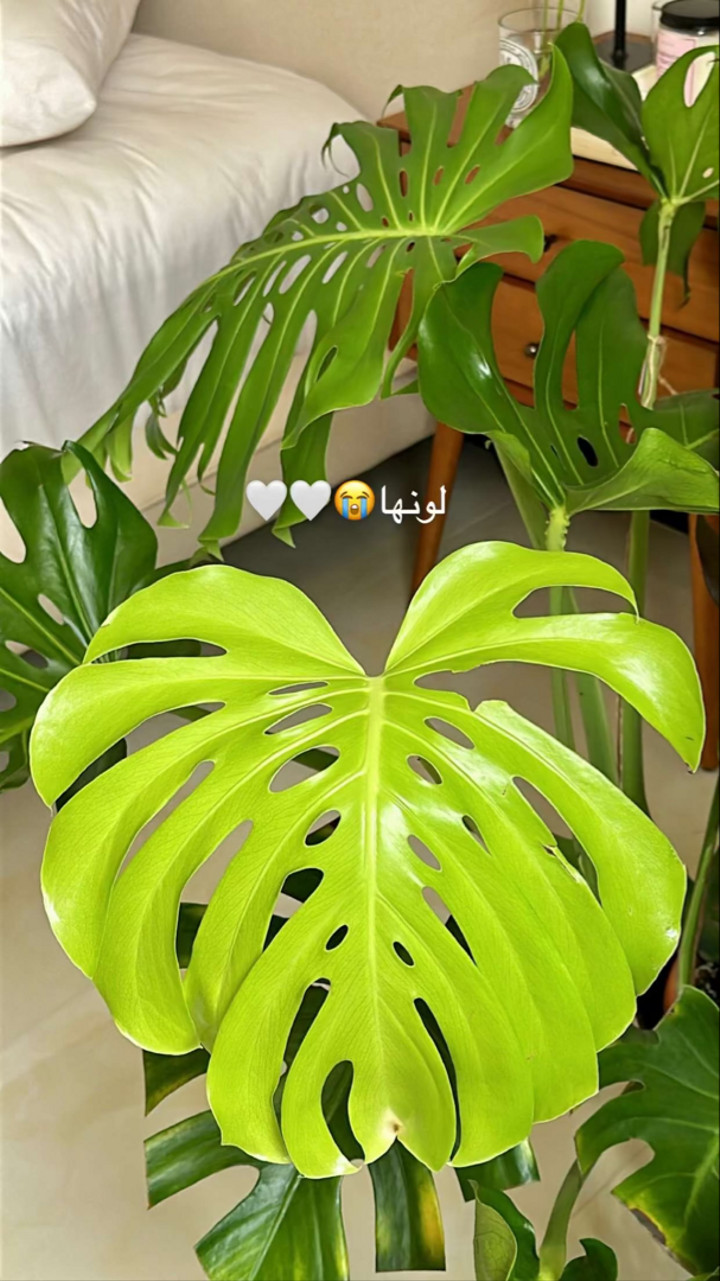 قصة سناب شات للحساب e_turkiiii رقم 167