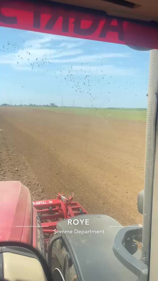 lozagri_60