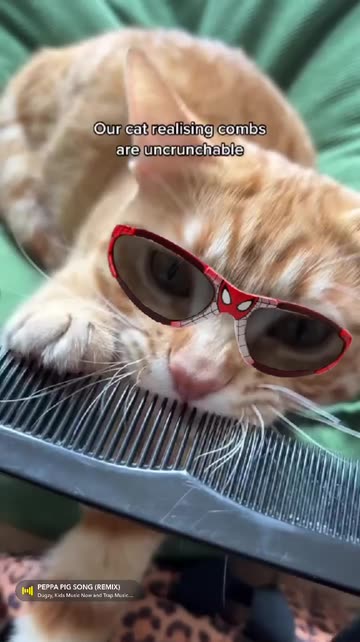 Preview for a Spotlight video that uses the spiderman glasses Lens