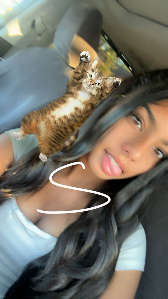 llj.asleen