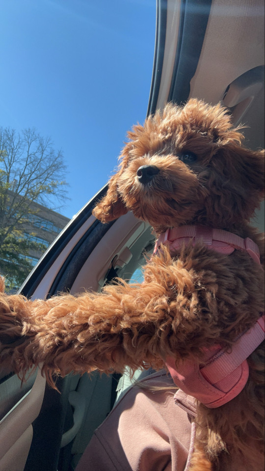 maddie-maries