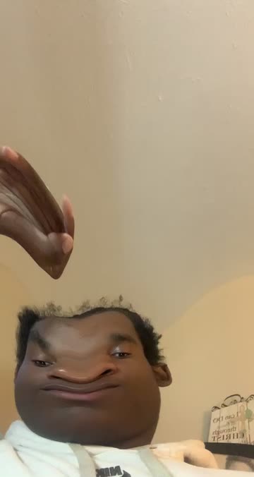 Preview for a Spotlight video that uses the Donkey Horse Lens