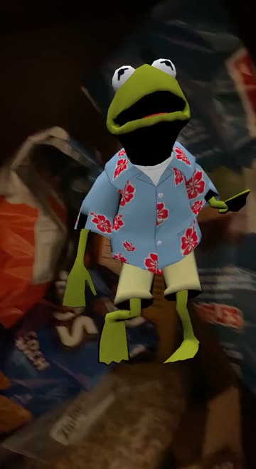 Preview for a Spotlight video that uses the Kermit The Frog Lens