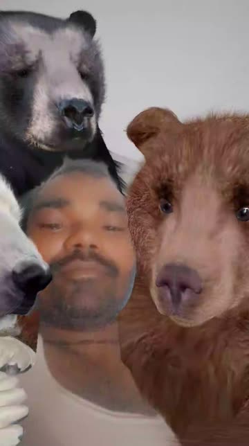 Preview for a Spotlight video that uses the 3 Little Bears Lens