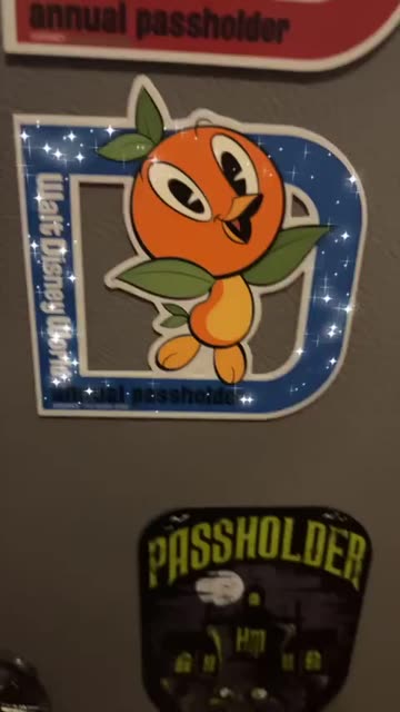 Preview for a Spotlight video that uses the Orange Bird Magnet Lens