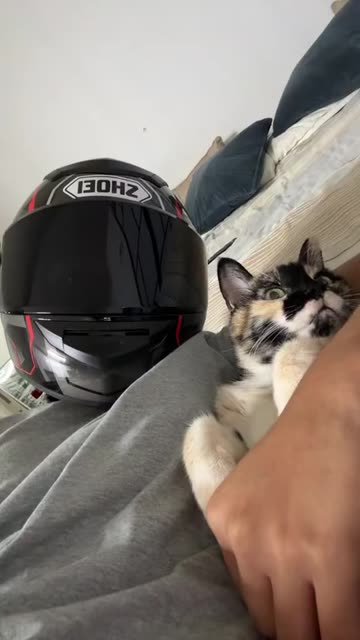 black friday shoei helmet Black Friday Shoei  Sprocketz