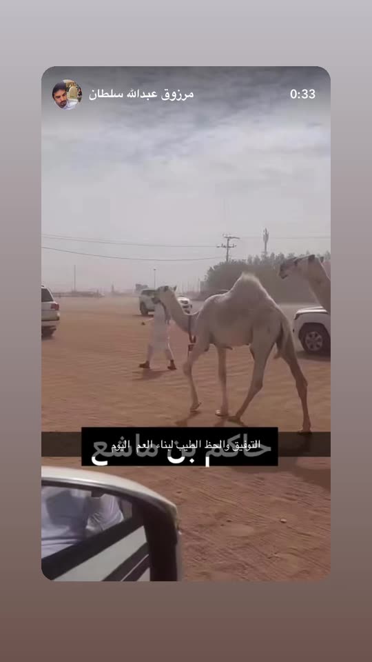 mmarzouq