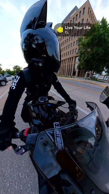cat riding motorcycle with helmet Pet for Dog Cat Motorcycle Helmet Compilation -