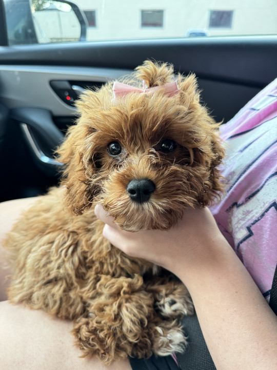 maddie-maries