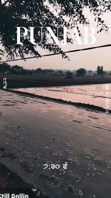 Preview for a Spotlight video that uses the Punjab Lens