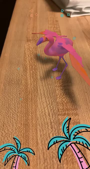 Preview for a Spotlight video that uses the Flamingo Dancing Lens